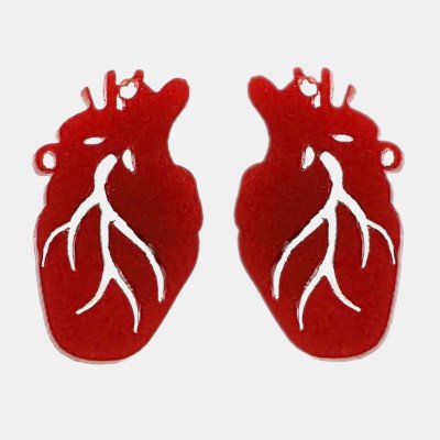 Oorstekers gelaserd uit plexiglas in de vorm van een menselijk hart.