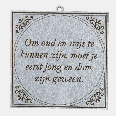 Tegeltje met de spreuk: "Om oud en wijs te kunnen zijn, moet je eerst jong en dom zijn geweest."