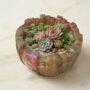 Bovenaanzicht van een decoratieve schaal van glitterende kunsthars gevuld met verschillende soorten Echeveria vetplanten en fijne kiezels op een marmeren ondergrond.
